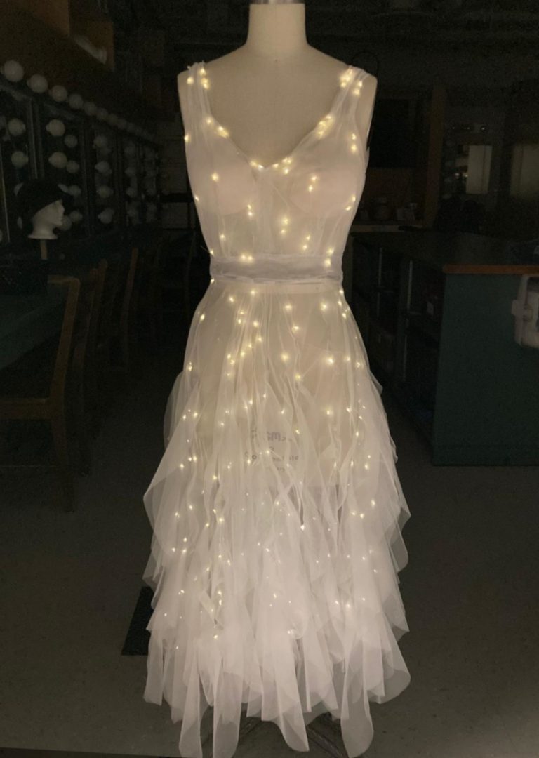Seagull Dress and Headpiece
